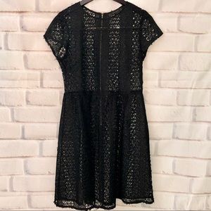 Zara Basic Overlay Lace Dress.  Black.  Size Large